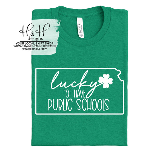 Lucky to have public schools