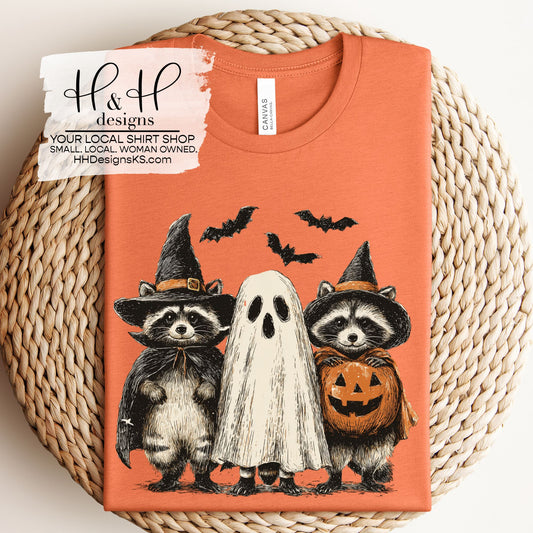 Witch Racoons