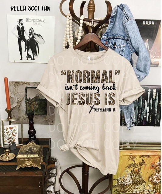 Normal isn't coming back, Jesus is